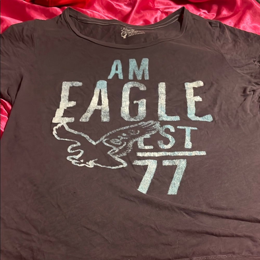 American Eagle Outfitters Dark Brown Tee
